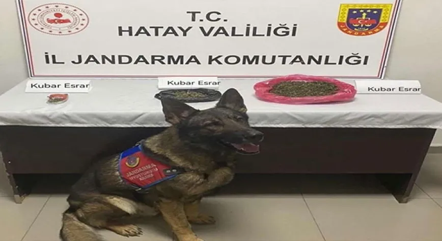 Hatay’da uyuşturucu operasyonu: 1 gözaltı