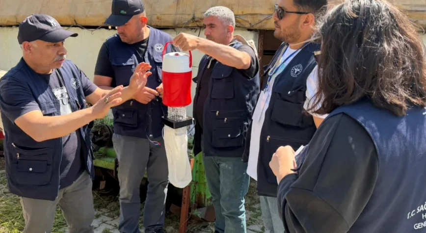 Hatay’da Vektör Sürveyansı Çalışmaları Başladı: Sağlık Güvenliği Güçleniyor