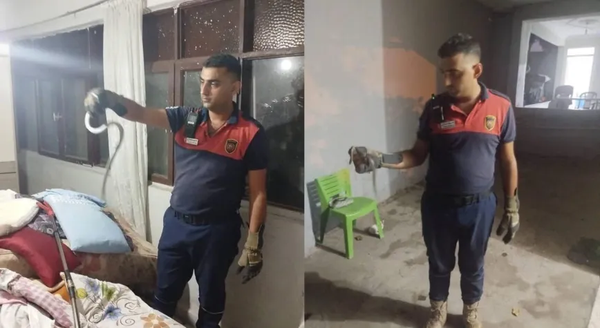 Hatay’da Yerleşim Yerlerine Giren Yılanlar Doğal Yaşama Bırakıldı