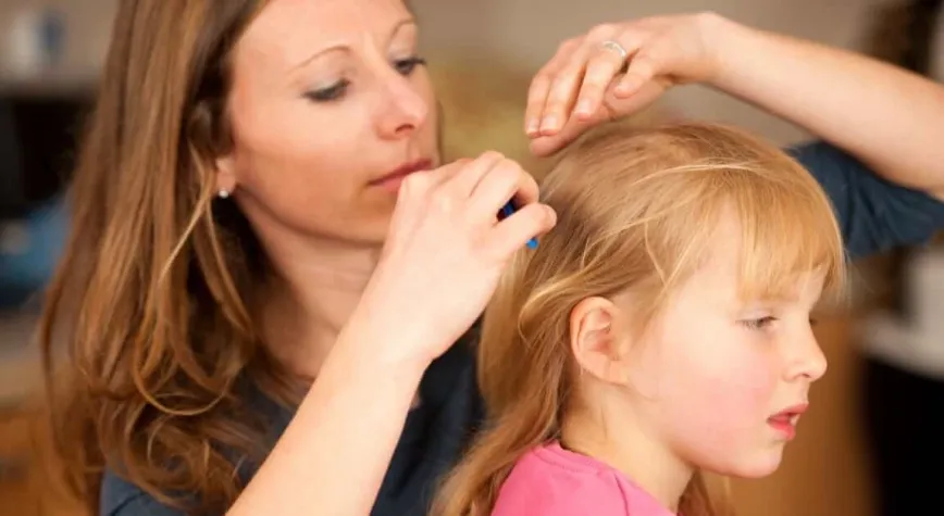 Hataylı Aileler Dikkat: Çocuklarda Baş Biti Nasıl Anlaşılır?