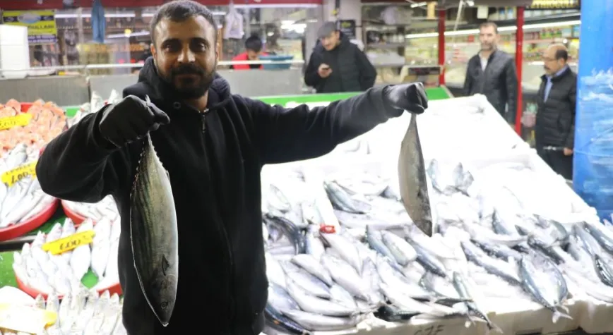 Hataylıların Palamut Talebi Sivas’a Kadar Ulaştı