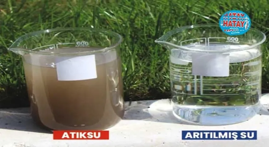 HATSU'DAN DOĞAYA TEMİZ DOKUNUŞ