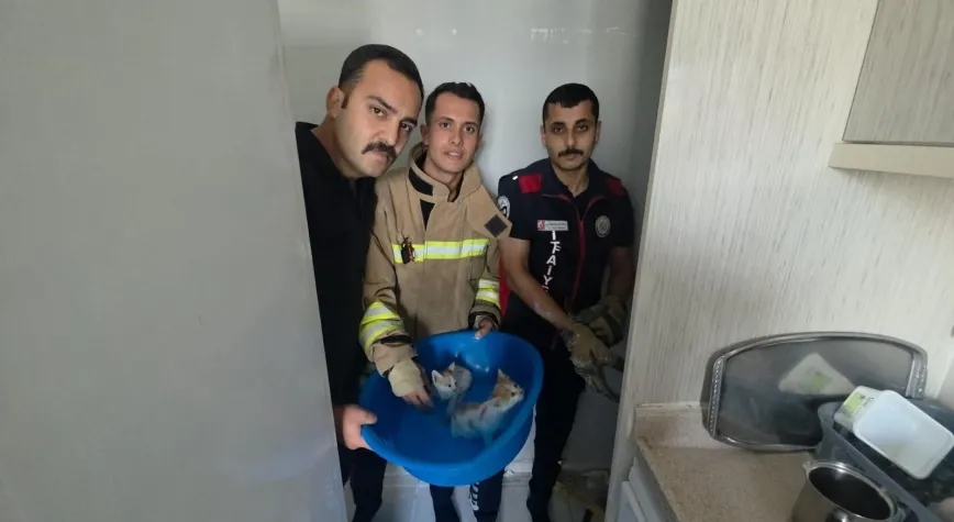 Havalandırma Boşluğuna Düşen Yavru Kediler Duvar Kırılarak Kurtarıldı