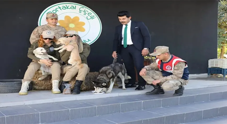 HAYDİ BİRİMLERİ ANAOKULU'NDA   