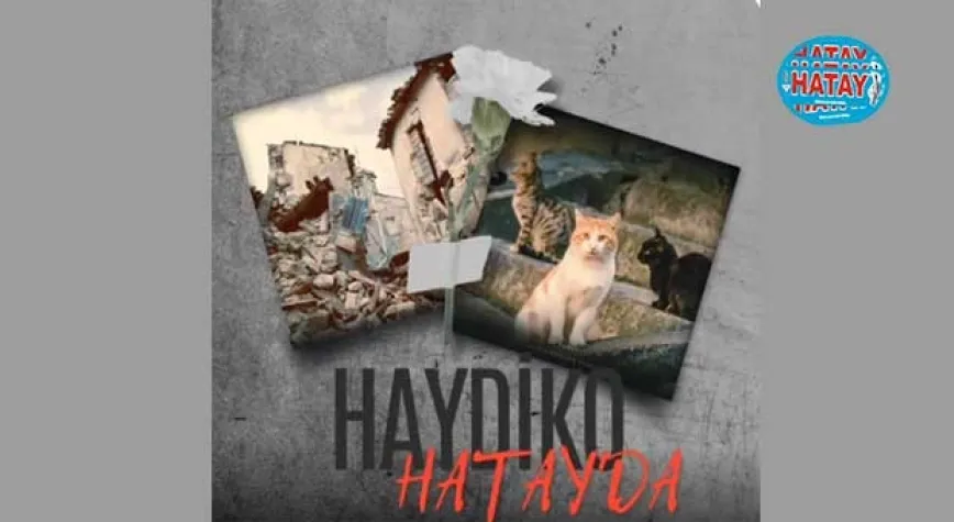Haydiko Derneği’nden Antakya'da sokak hayvanlarına uzanan yaşam eli