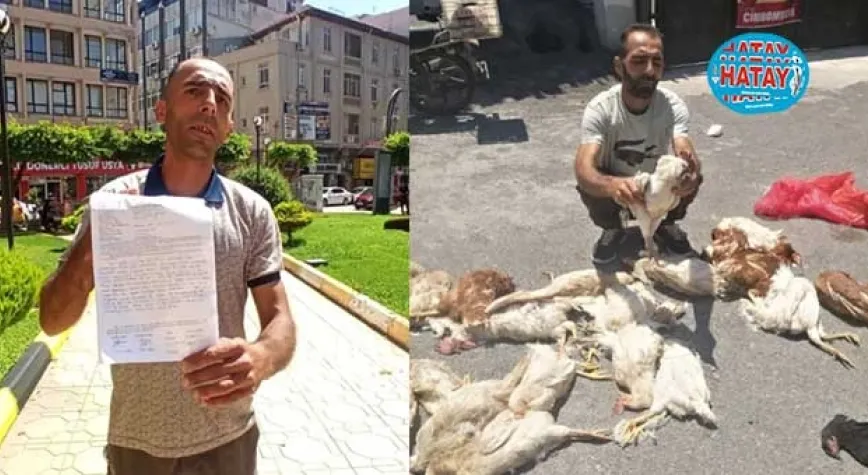 HAYVANLARI TELEF OLAN VATANDAŞ YARDIM İSTEDİ