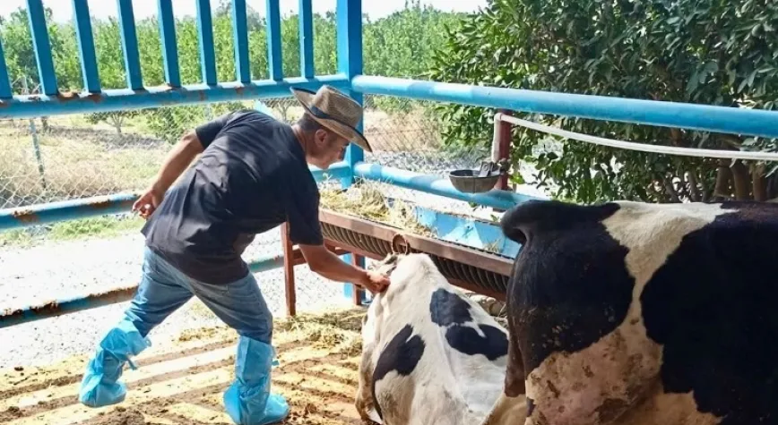 Hayvanlarımızın sağlığı için sahadayız
