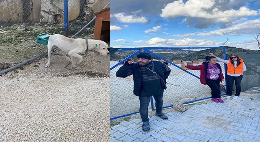 HAYVANSEVERLER KENDİNİ ZİNCİRE VURDU