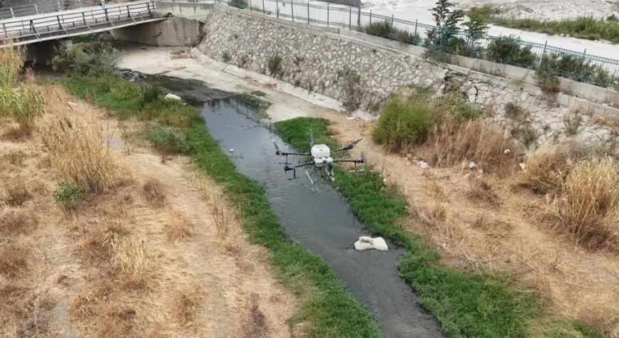 HBB, Defne’de Haşereyle Mücadele Ediyor