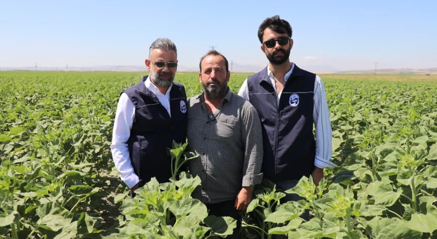 Manşet Resmi