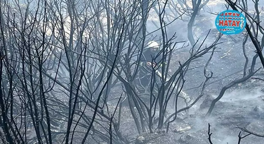 HBB’DEN ANIZ VE BAHÇE YAKMA UYARISI