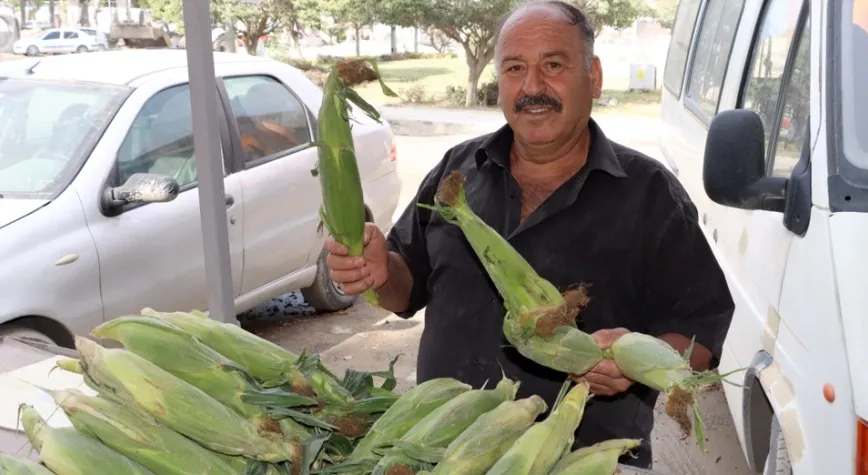 Hem Lezzet Hem Şifa