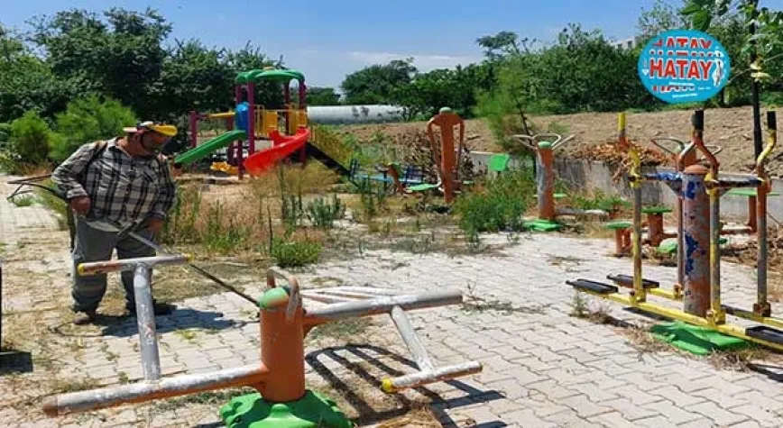 HER ŞEY DAHA YAŞANABİLİR BİR SAMANDAĞ İÇİN