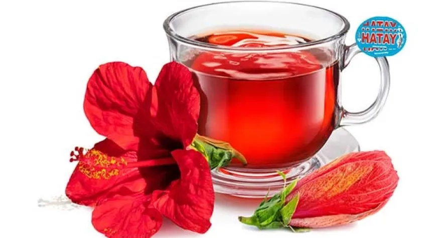 HİBİSKUS ÇİÇEĞİNİN FAYDALARI