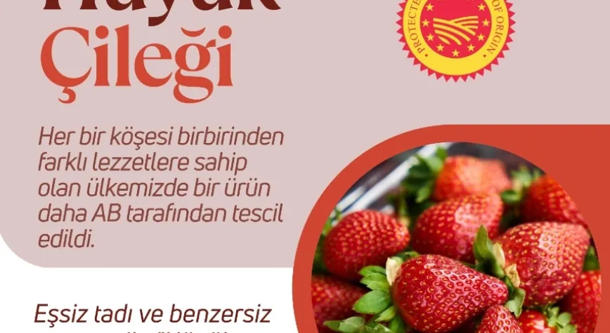 Hüyük çileğine AB tescili