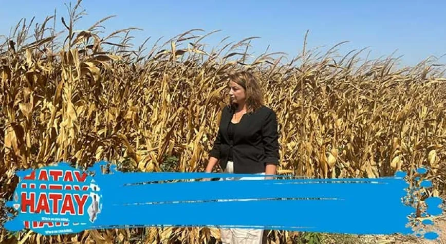  İktidar çiftçiye artık üretme diyor