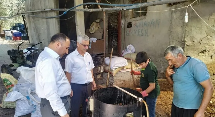İL MÜDÜRÜ ÇOLAKOĞLU CEVİZ VE ALIÇ HASADINA KATILDI