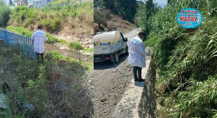 İLAÇLAMA ÇALIŞMALARI ARALIKSIZ OLARAK DEVAM EDİYOR