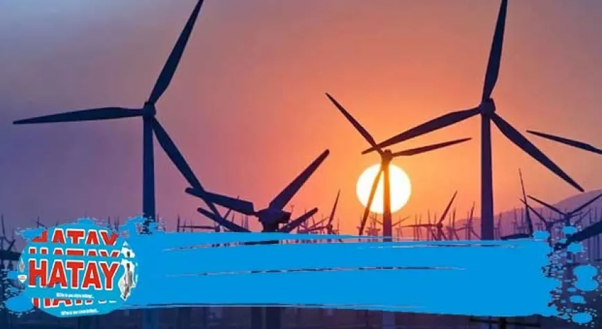 İlk kez alan belirlendi