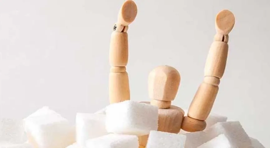 İnsülin Direncine Karşı Meydan Okumaya 