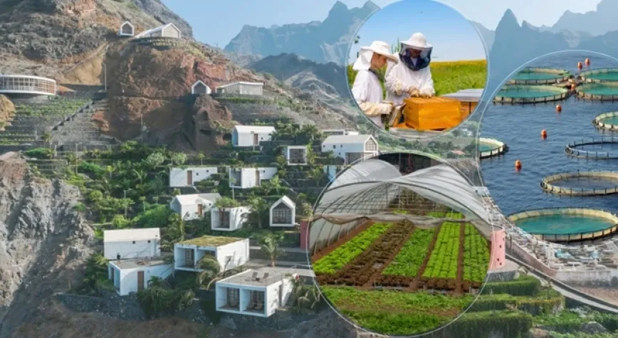 Ipard III Kapsamında 687 Projeye 3,7 Milyar Tl Hibe Desteği Ödenecek