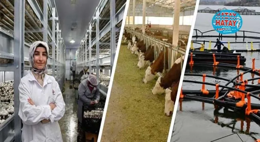 IPARD III PROGRAMI 2024 YILI ÇAĞRI TAKVİMİ YAYIMLANDI