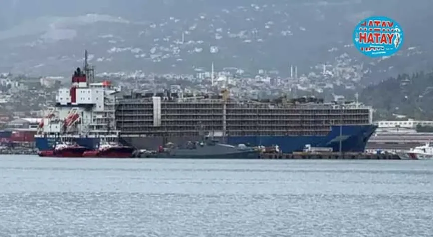 İskenderun Limanı'na gemiyle 27 bin angus geldi