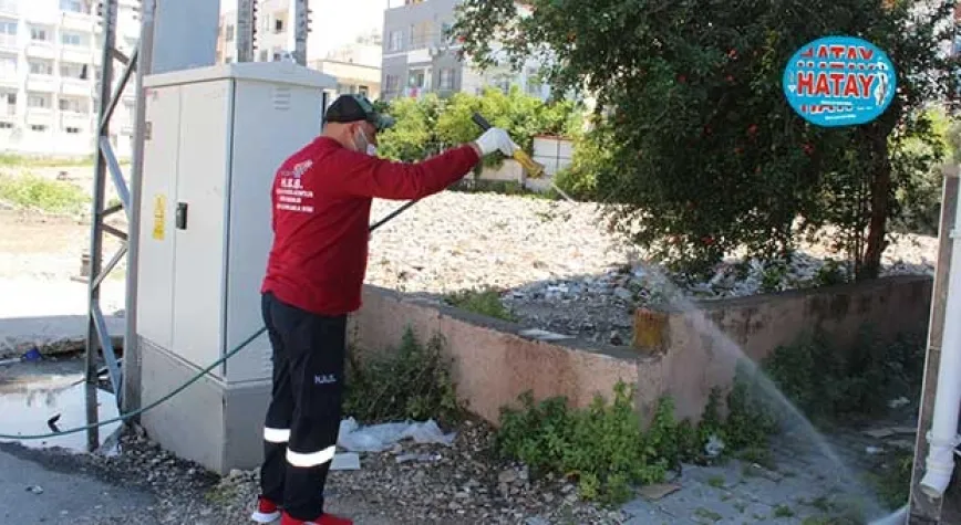 İSKENDERUN’DA 300 NOKTA İLAÇLANDI