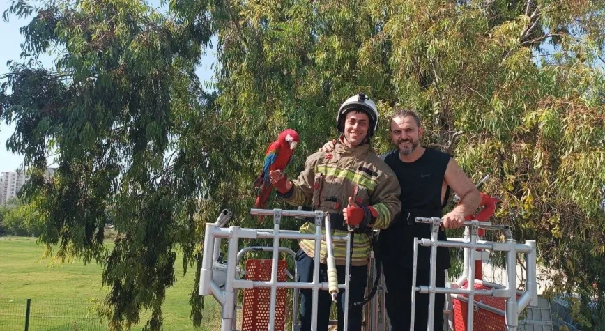 İskenderun’da Ağaçta Mahsur Kalan Papağan Kurtarıldı