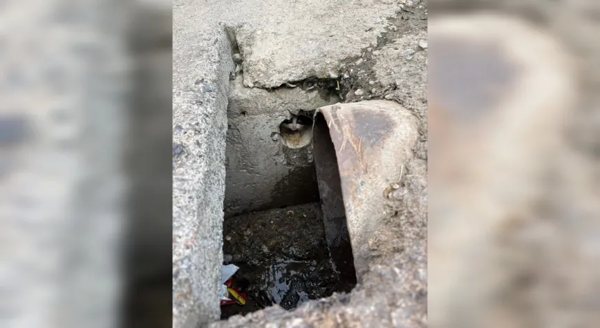 İskenderun’da Kediler Kurtarıldı