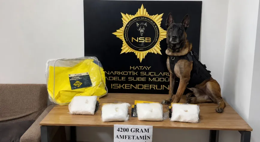 İskenderun’da Tırda 4 Kilo 200 Gram Uyuşturucu Ham Maddesi Ele Geçirildi