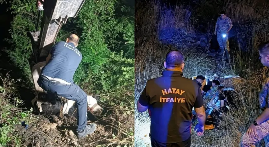 İskenderun’da Uçuruma Düşen İnek Kurtarıldı