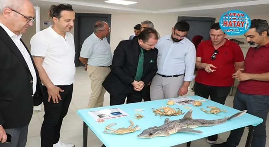 İSTE’DE SU ALTI MÜZESİ AÇILDI