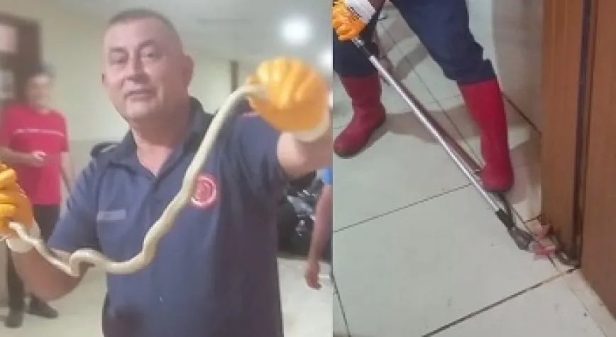 İTFAİYE EKİPLERİ OKULA GİREN YILANI YAKALADI