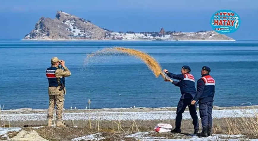 Jandarma Ekipleri Van Gölü Çevresinde Yaban Hayatını Korumak İçin Nöbette