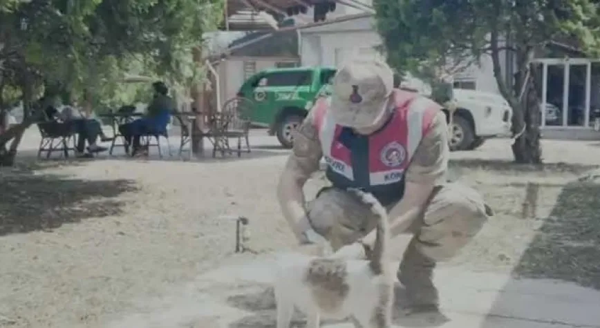 JANDARMA SAHİPSİZ KALAN HAYVANLARI BESLEDİ  