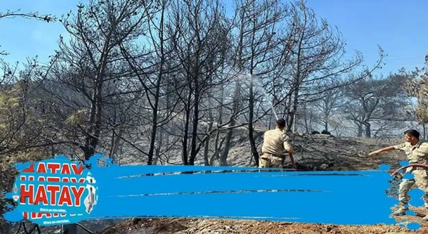 JANDARMA SEFERBER OLDU