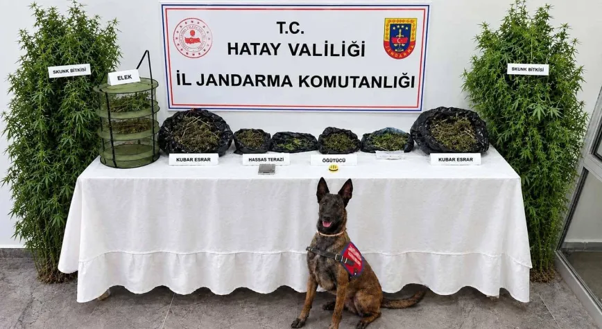 Jandarmadan Uyuşturucu Operasyonu: 1 Gözaltı