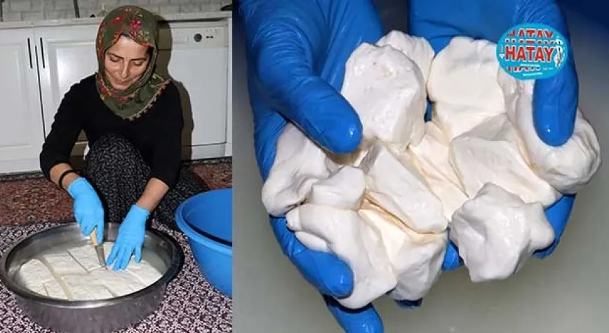 Kahvaltı Sofralarının Baştacı Köy Peyniri