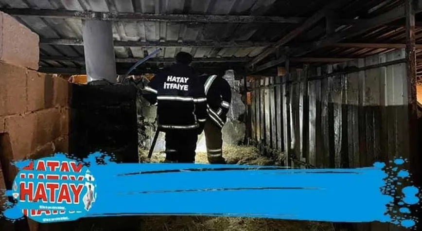KARLISU’DA SAMANLIK YANDI