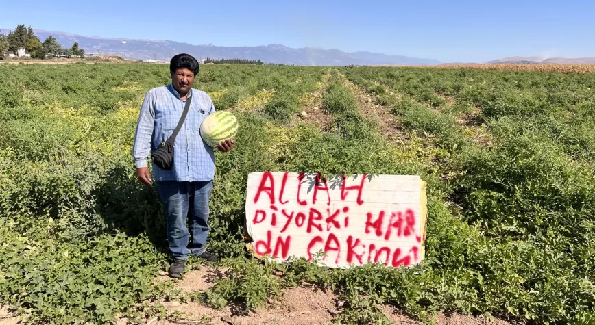 Karpuz Hırsızlarına Karşı Tarlada Nöbet Tutuyor
