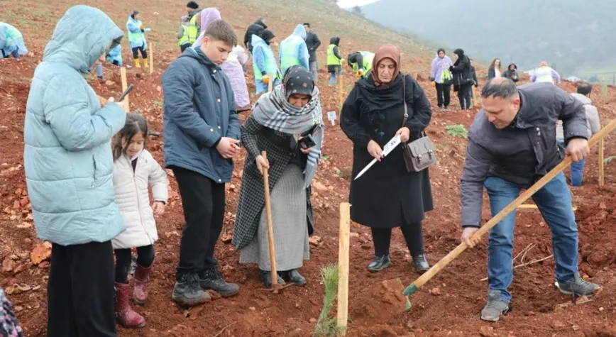 Kaybedilen Her Can, Bir Fidan Oldu