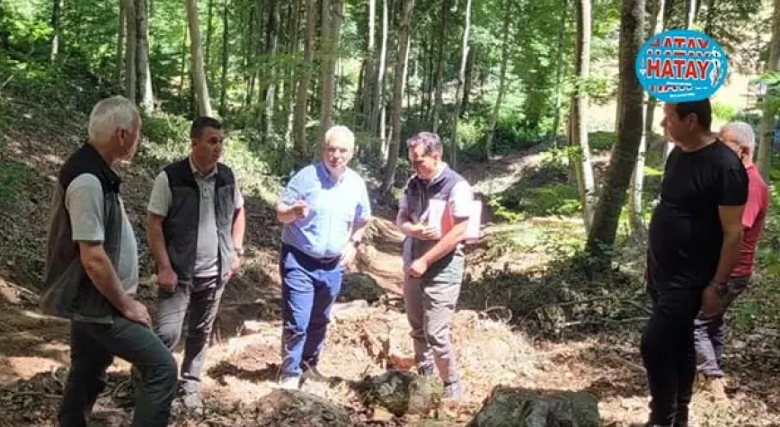 KAYIN SAHASINDA  İNCELEME
