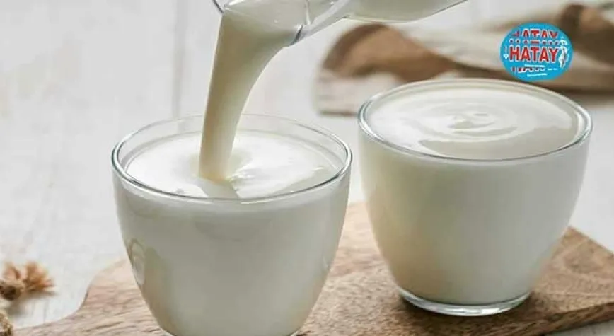 Kefir nasıl yapılır?