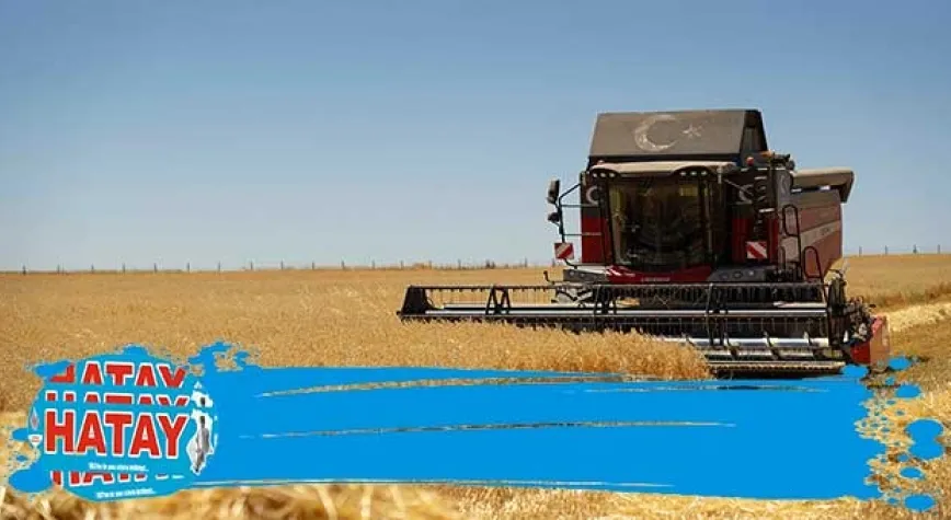 Kellogg, yılın ilk yulaf hasadını gerçekleştirdi