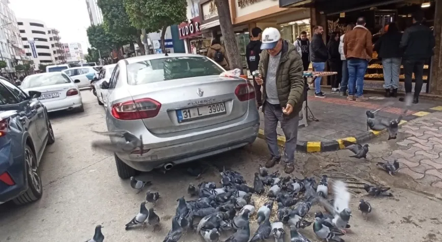 Kent Yaşamının Vazgeçilmezi, Güvercinler