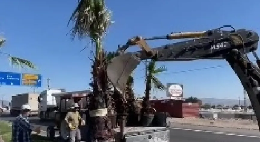 KIRIKHAN’DA 550 FİDAN TOPRAKLA BULUŞTU
