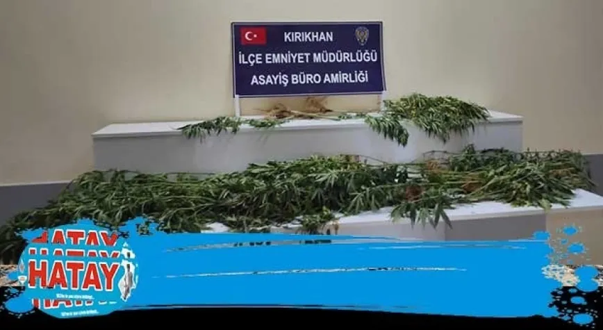 KIRIKHAN’DA KENEVİR OPERASYONU