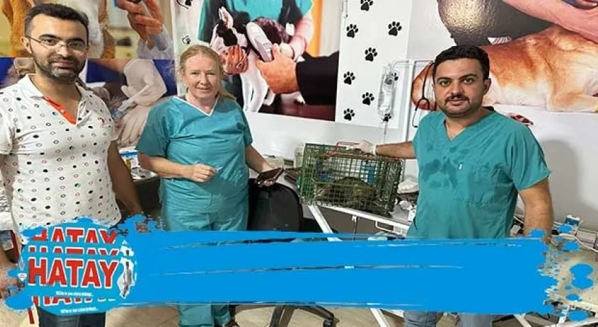 KIRIKHAN’DA KISIRLAŞTIRMA SEFERBERLİĞİ