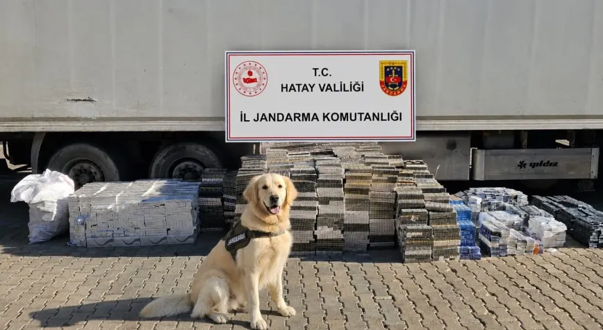 Kırıkhan’da Tırda 30 Bin Paket Kaçak Sigara Ele Geçirildi